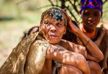 Indigenous Tours