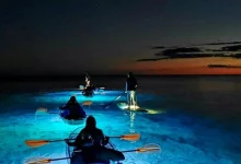 bioluminescent night kayaking