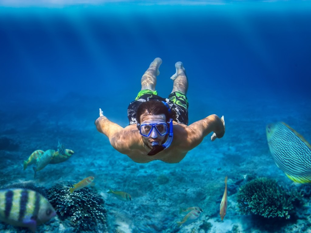 Shaab-Samadai-Diving-trip-from-El-Quseir