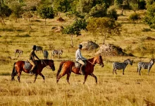african horseback