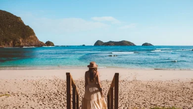 digital detox retreats