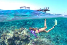 red sea snorkeling