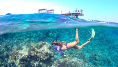 red sea snorkeling
