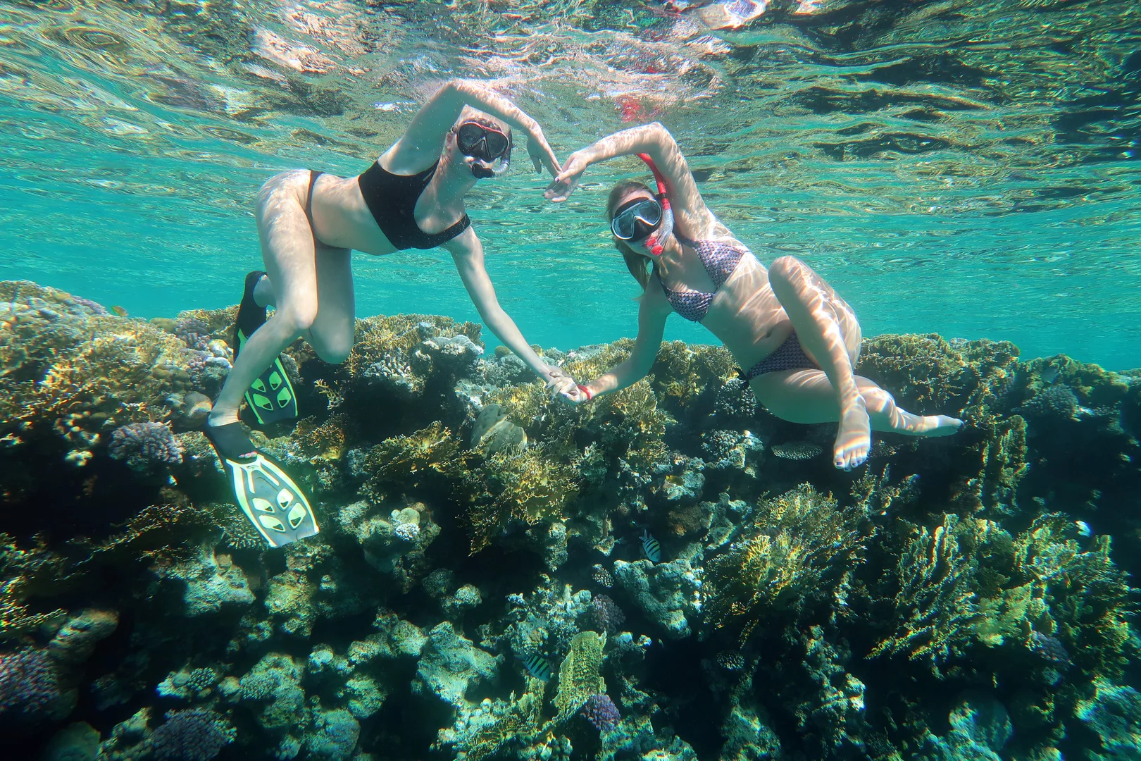 tiran-island-snorkeling