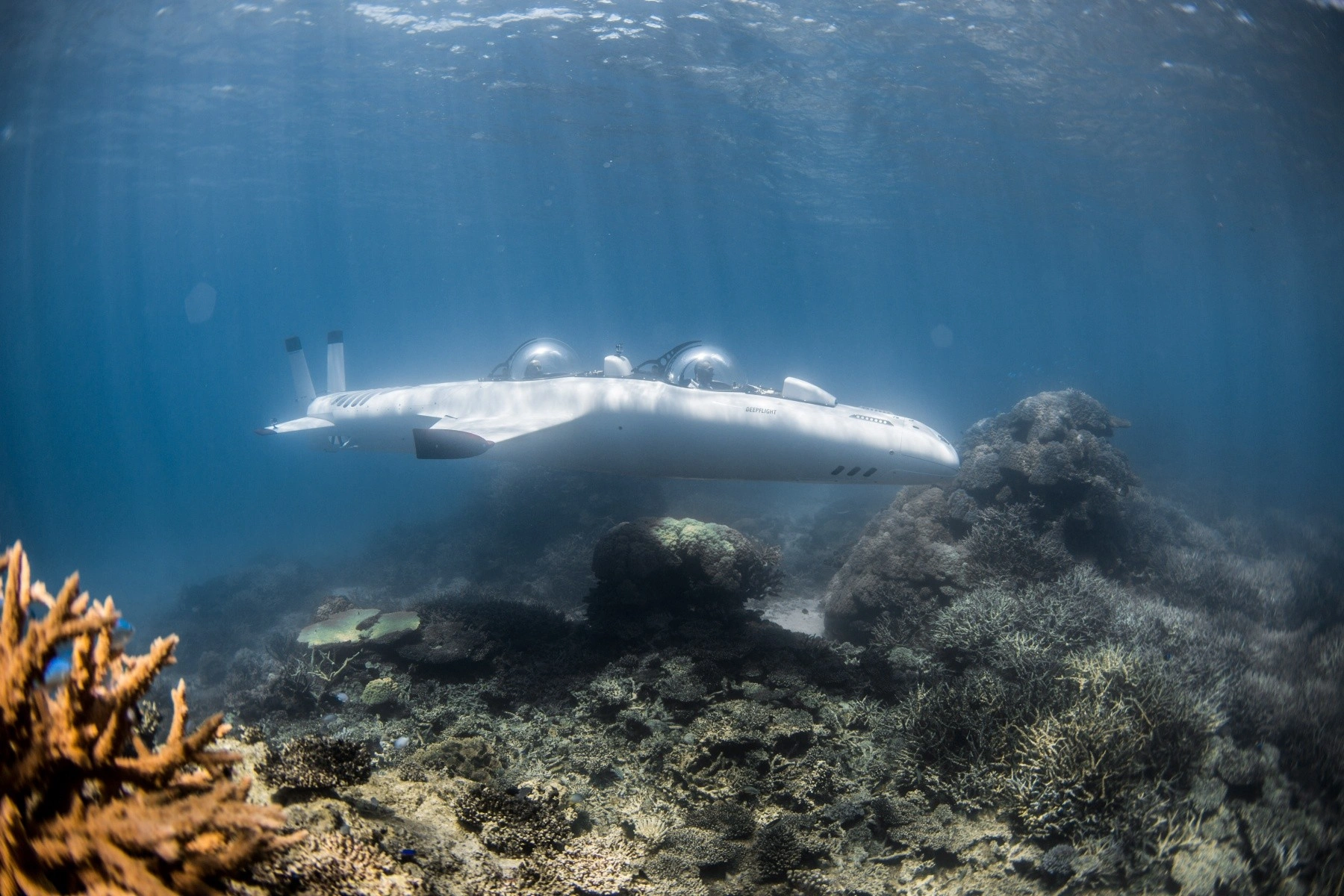 underwater adventures