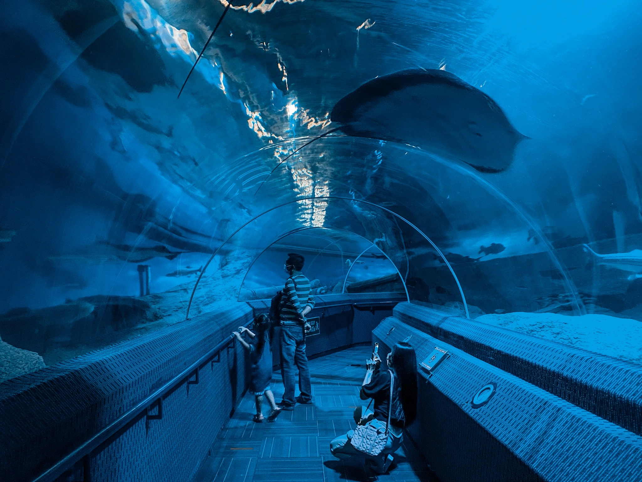 overview-of-deep-sea-tourism