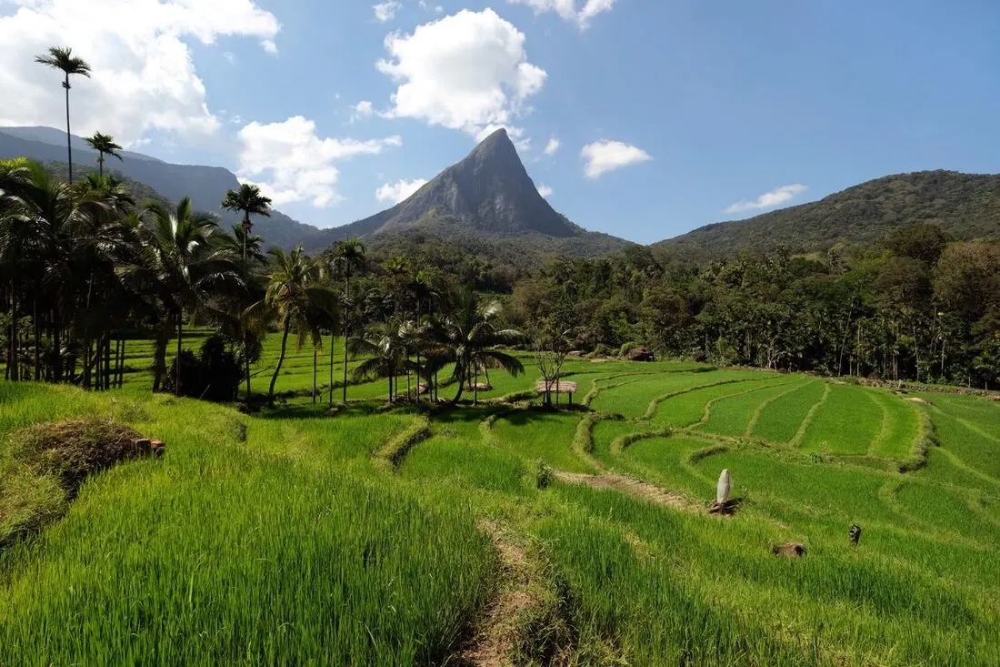 ri lanka vs bali which is better