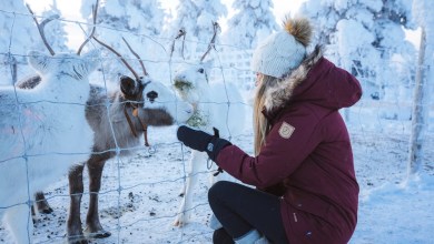 best arctic vacations